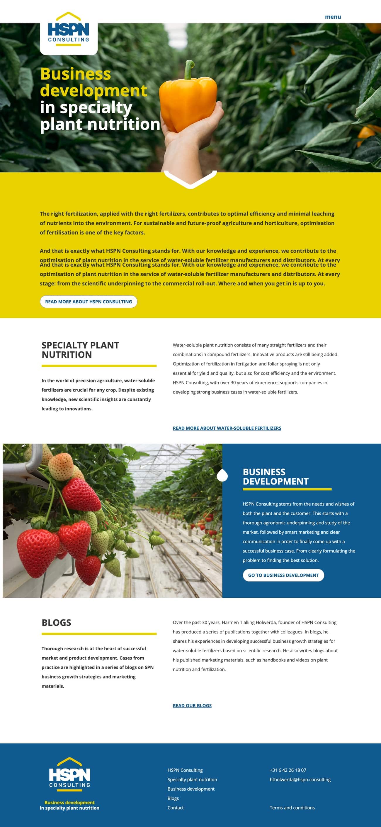 Website van HSPN Consulting op desktop